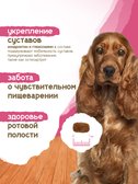 Сухой корм Formula Natural Life (для взр. собак мини пород), 80 г
