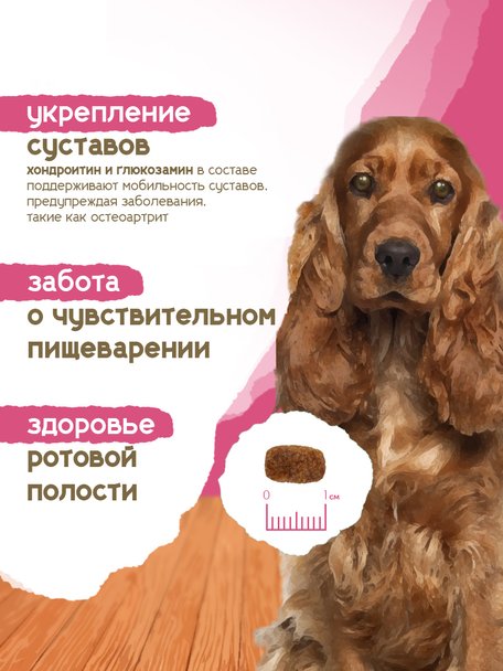Сухой корм Formula Natural Life (для взр. собак мини пород), 80 г