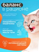 Сухой корм Formula Natural Fresh Meat (для стерилизованных кошек) с лососем, тыквой и куркумой, 80 г