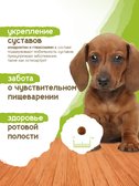 Сухой корм Formula Natural Life (для щенков мини пород), 80 г