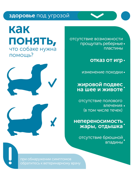 Сухой корм Formula Natural Vet Care Obesity (для собак мини и мелких пород), 80 г