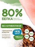 Сухой корм Formula Natural Life (для щенков средних и больших пород), 80 г