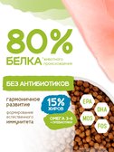 Сухой корм Formula Natural Life (для щенков мини пород), 80 г