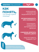 Сухой корм для кошек Formula Natural VET CARE RENAL, диетический, при хроническом заболевании почек, 80 гр