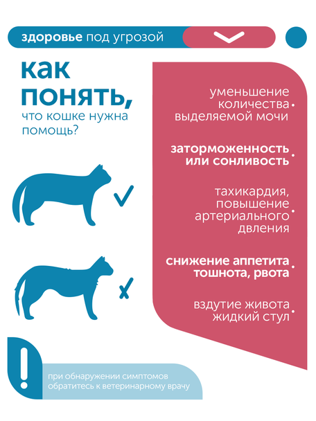 Сухой корм для кошек Formula Natural VET CARE RENAL, диетический, при хроническом заболевании почек, 80 гр