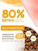 Сухой корм Formula Natural Life с Курицей для стерилизованных кошек, 80 г