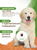 Сухой корм Formula Natural Life (для щенков средних и больших пород), 80 г