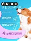 Сухой корм Formula Natural Fresh Meat (для щенков средних пород) с курицей, маниокой и куркумой, 80 г